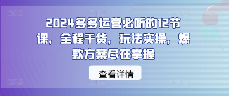 2024多多运营必听的12节课，全程干货，玩法实操，爆款方案尽在掌握-连烟牍库