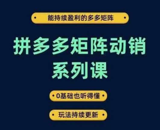 拼多多矩阵动销系列课，能持续盈利的多多矩阵，0基础也听得懂，玩法持续更新-连烟牍库