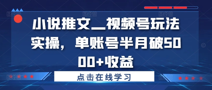 小说推文—视频号玩法实操，单账号半月破5000+收益-连烟牍库
