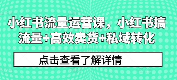 小红书流量运营课，小红书搞流量+高效卖货+私域转化-连烟牍库