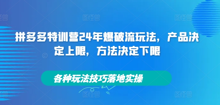 拼多多特训营24年爆破流玩法，产品决定上限，方法决定下限，各种玩法技巧落地实操-连烟牍库