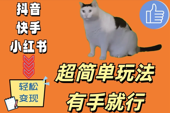 超简单玩法，有手就行，靠猫咪视频日入500+【揭秘】-连烟牍库