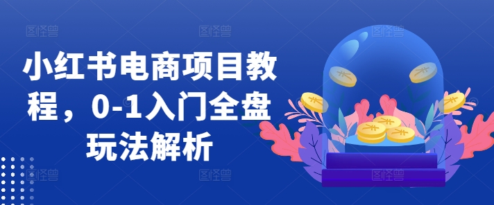 小红书电商项目教程，0-1入门全盘玩法解析-连烟牍库