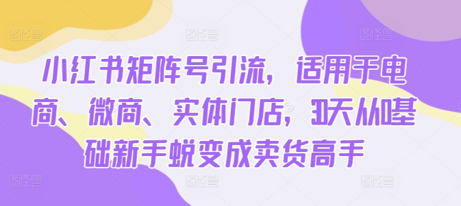 小红书矩阵号引流，适用于电商、微商、实体门店，30天从0基础新手蜕变成卖货高手-连烟牍库