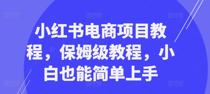 小红书电商项目教程，保姆级教程，小白也能简单上手-连烟牍库