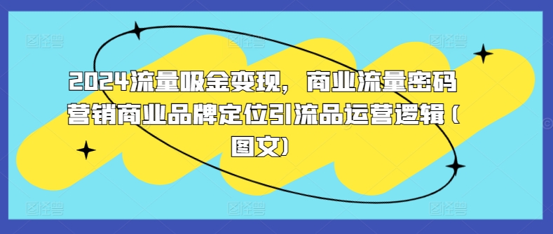 2024流量吸金变现，商业流量密码营销商业品牌定位引流品运营逻辑(图文)-连烟牍库