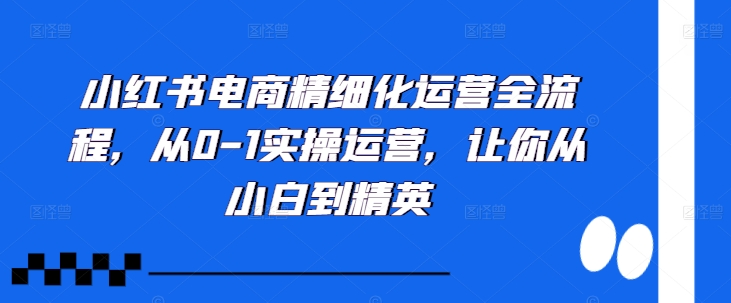 小红书电商精细化运营全流程，从0-1实操运营，让你从小白到精英-连烟牍库