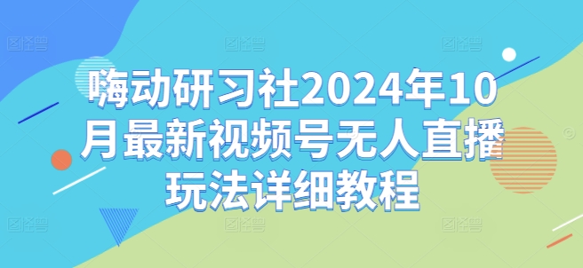 嗨动研习社2024年10月最新视频号无人直播玩法详细教程-连烟牍库
