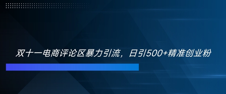 双十一电商评论区暴力引流，日引500+精准创业粉【揭秘】-连烟牍库