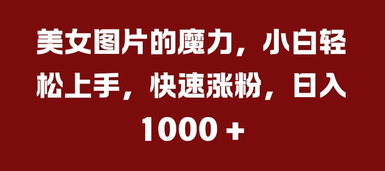 美女图片的魔力，小白轻松上手，快速涨粉，日入几张【揭秘】-连烟牍库
