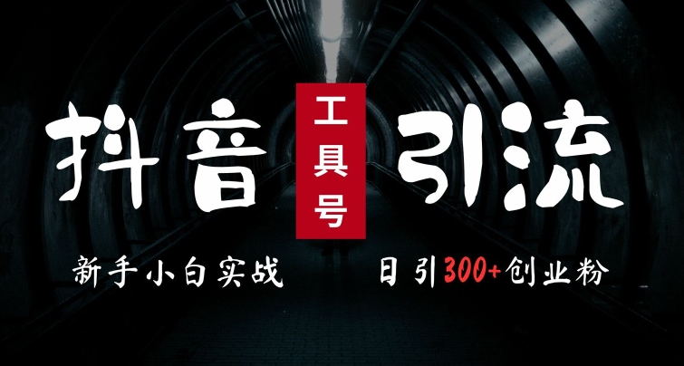 2024最新抖音工具号引流玩法，高效日引300+创业粉，当天变现5k，小白也可成为实战高手-连烟牍库