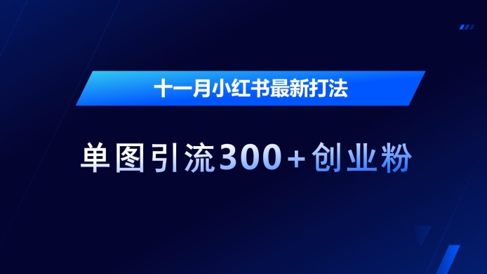 十一月小红书最新打法，单图引流300+创业粉【揭秘】-连烟牍库