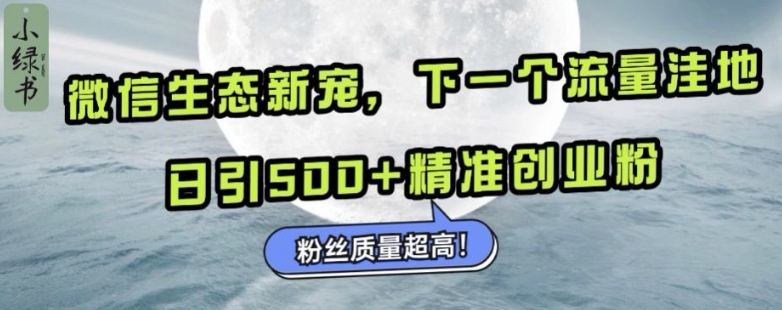 微信生态新宠小绿书：下一个流量洼地，日引500+精准创业粉，粉丝质量超高-连烟牍库