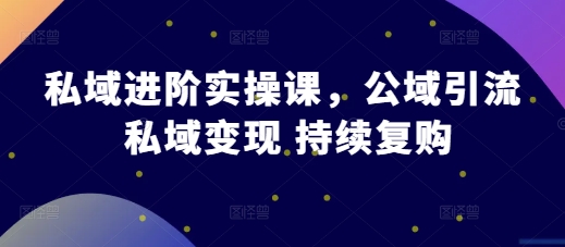 私域进阶实操课，公域引流 私域变现 持续复购-连烟牍库