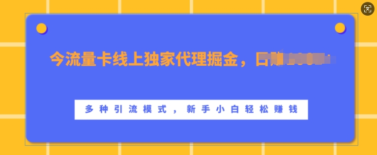 流量卡线上独家代理掘金，日入1k+ ，多种引流模式，新手小白轻松上手【揭秘】-连烟牍库