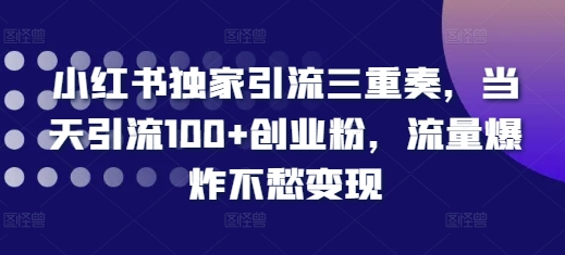 小红书独家引流三重奏，当天引流100+创业粉，流量爆炸不愁变现【揭秘】-连烟牍库