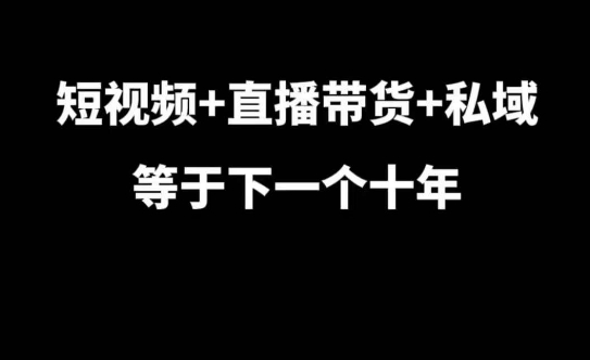 短视频+直播带货+私域等于下一个十年，大佬7年实战经验总结-连烟牍库