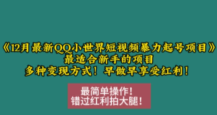 12月最新QQ小世界短视频暴力起号项目，最适合新手的项目，多种变现方式-连烟牍库