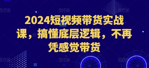 2024短视频带货实战课，搞懂底层逻辑，不再凭感觉带货-连烟牍库