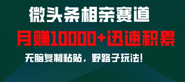 微头条相亲赛道，迅速积累，无脑复制粘贴，野路子玩法，月入1w-连烟牍库