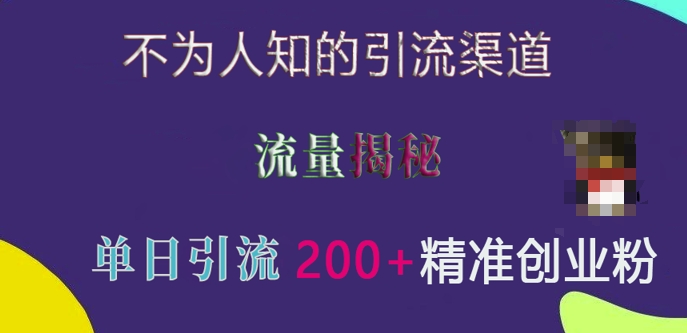 不为人知的引流渠道，流量揭秘，实测单日引流200+精准创业粉【揭秘】-连烟牍库