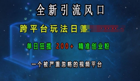 全新引流风口，跨平台玩法日入上k，单日狂揽200+精准创业粉，一个被严重忽略的视频平台-连烟牍库