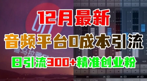 12月最新：音频平台0成本引流，日引流300+精准创业粉-连烟牍库