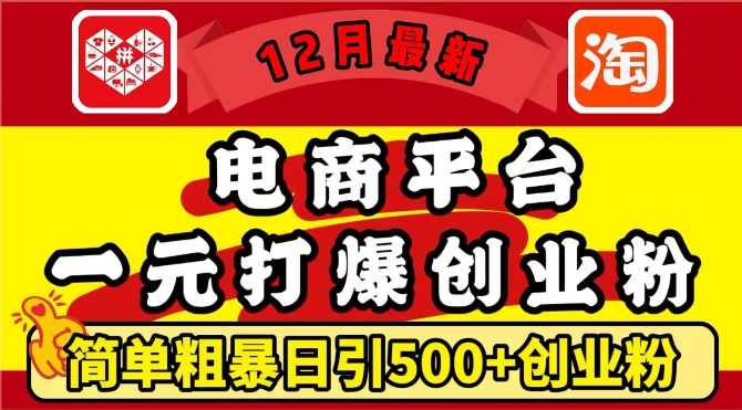 12月最新：电商平台1元打爆创业粉，简单粗暴日引500+精准创业粉，轻松月入过W【揭秘】-连烟牍库