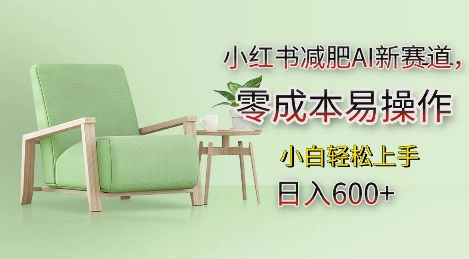 小红书减肥AI新赛道，零成本易操作，日入多张，小白轻松上手【揭秘】-连烟牍库
