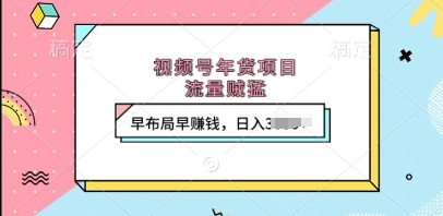 视频号年货项目，流量贼猛，早布局早挣钱，日入上k【揭秘】-连烟牍库