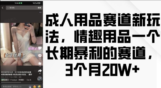 成人用品赛道新玩法，情趣用品一个长期暴利的赛道，3个月收益20个【揭秘】-连烟牍库