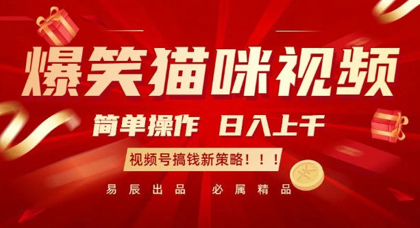 爆笑猫咪视频：简单操作，日入过K，视频号搞钱新策略【揭秘】-连烟牍库