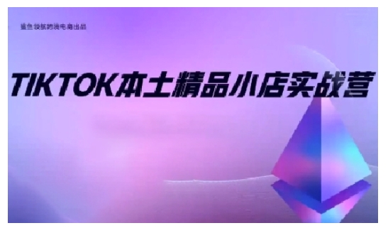 TikTok本土精品小店出海实战营，从入门到高阶，不止0-1!-连烟牍库