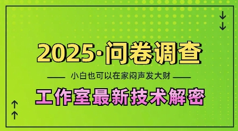 2025问卷调查最新工作室技术解密：一个人在家也可以闷声发大财，小白一天2张，可矩阵放大【揭秘】-连烟牍库