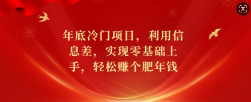 年底冷门项目，利用信息差，实现零基础上手，轻松赚个肥年钱【揭秘】-连烟牍库
