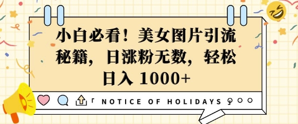 小白必看，美女图片引流秘籍，日涨粉无数，轻松日入几张【揭秘】-连烟牍库