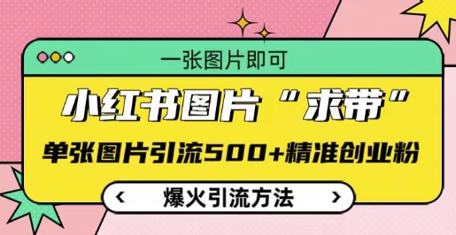 小红书图片‘求带’爆火引流法，单张图片引流500+精准创业粉【揭秘】-连烟牍库