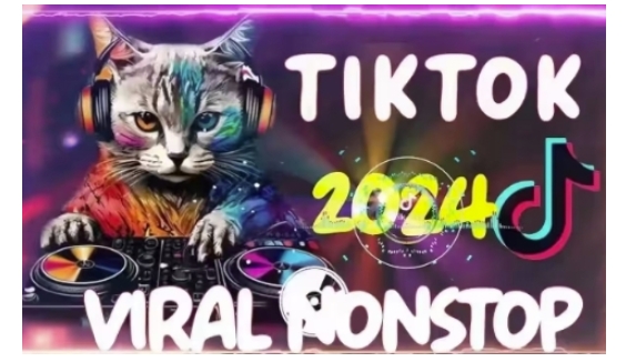 Tiktok东南亚小店运营，TK跨境小店教程让学员能快速掌握实用的运营技巧-连烟牍库