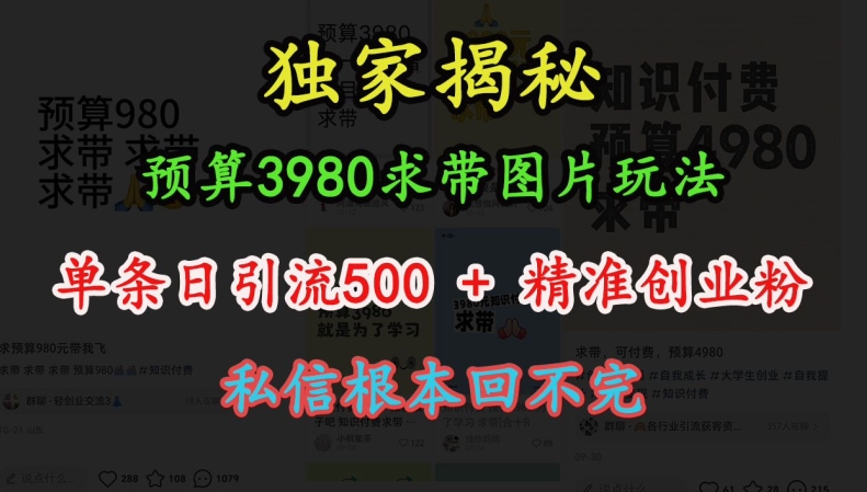 预算3980求带 图片玩法，单条日引流500+精准创业粉，私信根本回不完-连烟牍库