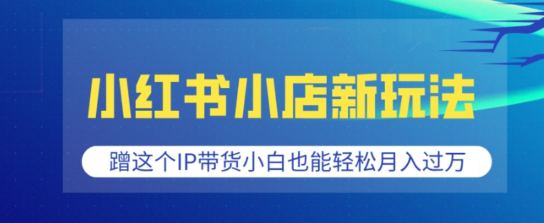 小红书小店新玩法，蹭这个IP带货，小白也能轻松月入过W【揭秘】-连烟牍库