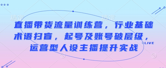 直播带货流量训练营，行业基础术语扫盲，起号及账号破层级，运营型人设主播提升实战-连烟牍库