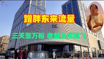 蹭胖东来流量，三天涨万粉，收益直接起飞-连烟牍库