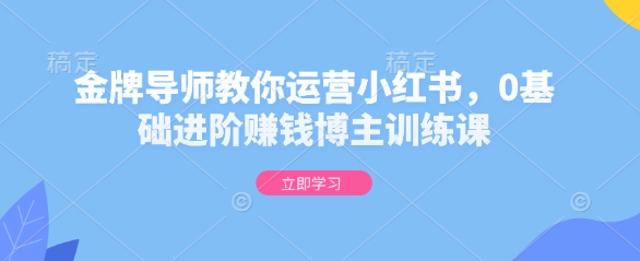 金牌导师教你运营小红书，0基础进阶赚钱博主训练课-连烟牍库
