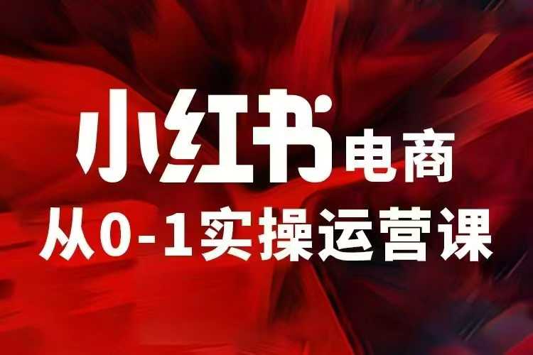 小红书电商运营，97节小红书vip内部课，带你实现小红书赚钱-连烟牍库