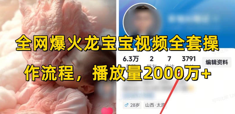 全网爆火龙宝宝视频全套操作流程，播放量2000万+-连烟牍库