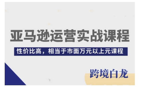 亚马逊运营实战课程，亚马逊从入门到精通，性价比高，相当于市面万元以上元课程-连烟牍库