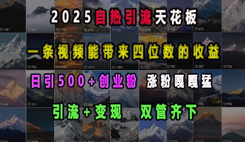 2025自热引流天花板，一条视频能带来四位数的收益，引流+变现双管齐下，日引500+创业粉，涨粉嘎嘎猛-连烟牍库