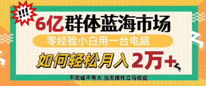 6亿群体蓝海市场，零经验小白用一台电脑，如何轻松月入过w【揭秘】-连烟牍库
