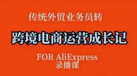 跨境电商速卖通运营课，​运营方法论+后台实操，逻辑清晰-连烟牍库