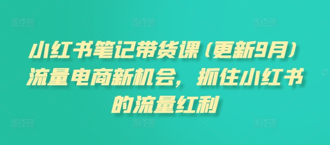 小红书笔记带货课(更新25年1月)流量电商新机会，抓住小红书的流量红利-连烟牍库